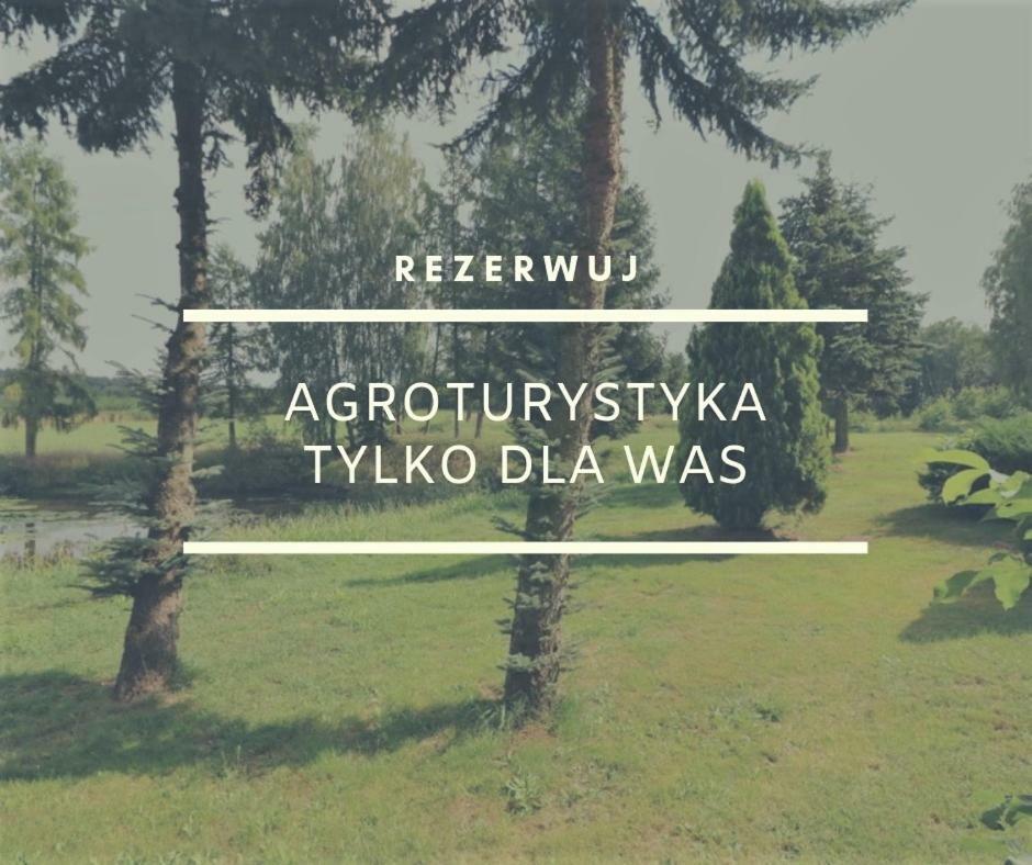 Dom Wakacyjny Z Ogromnym Ogrodem Witaszyn Exterior photo